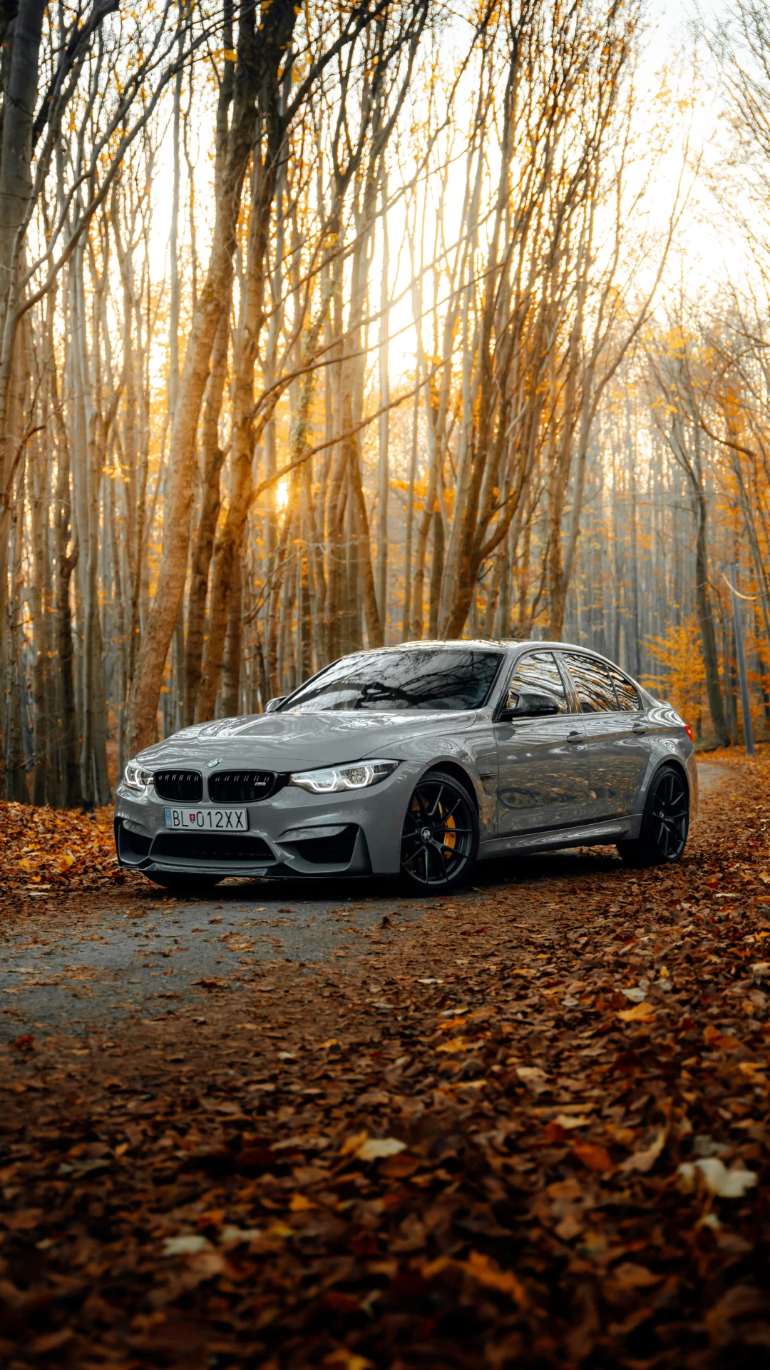 BMW M3 bmw M3 en foret